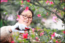 woman gardening